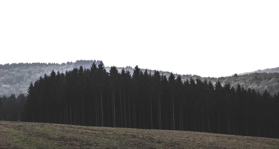 Autofactura inversión sujeto pasivo autónomo construcción intracomunitaria