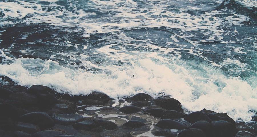 Cambiar base cotización autónomo SEDESS ventanas 2026