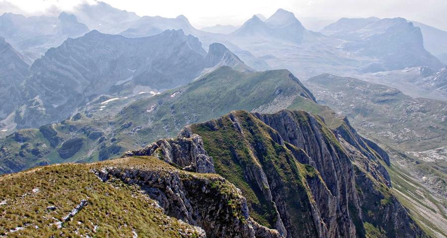 Factura proforma presupuesto albarán autónomos diferencias