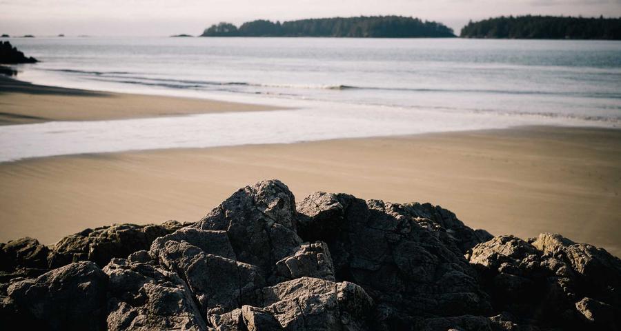 Colaborador familiar autónomo tarifa plana RETA alta requisitos