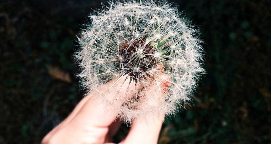 Autónomo societario vs persona física administrador SL RETA IS IRPF