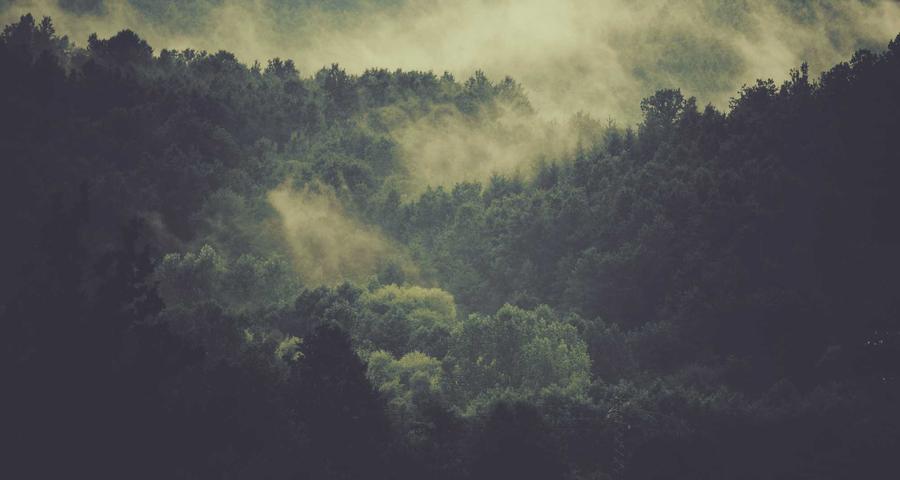 Baja maternidad paternidad autónomo 16 semanas 100 por ciento