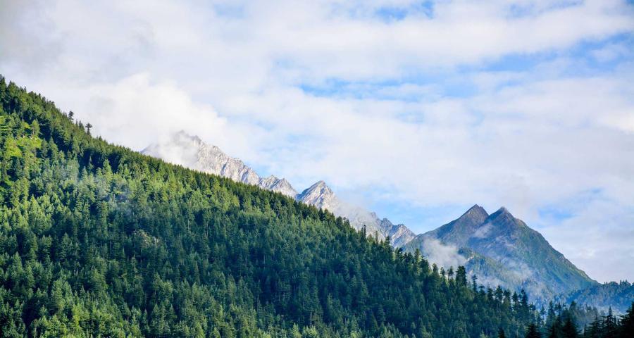 Comunidad de bienes vs autónomo individual atribución de rentas modelo 184