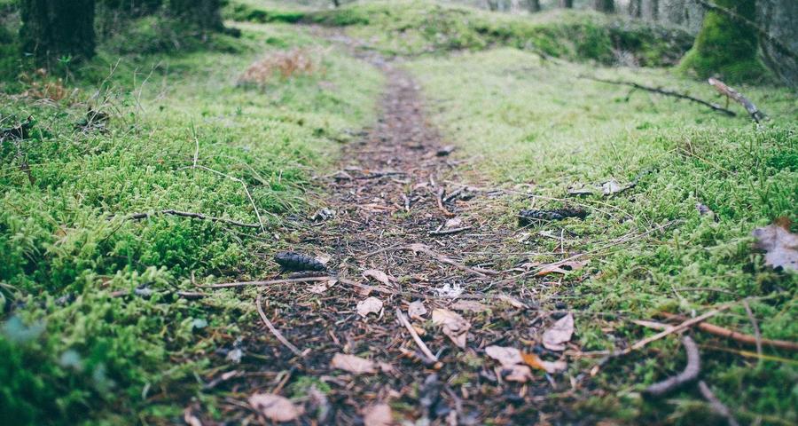 Epígrafes IAE autónomos cómo elegir tabla modelo 036