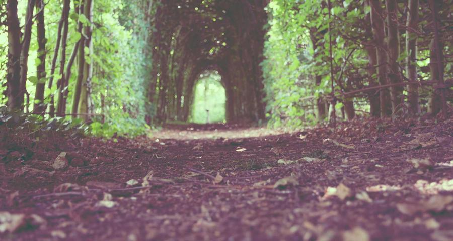 Sanciones Hacienda no declarar IVA autónomo recargos infracciones